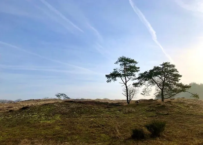 Villa Juneberry Bergen