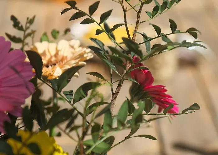 Juneberry Villa Bergen