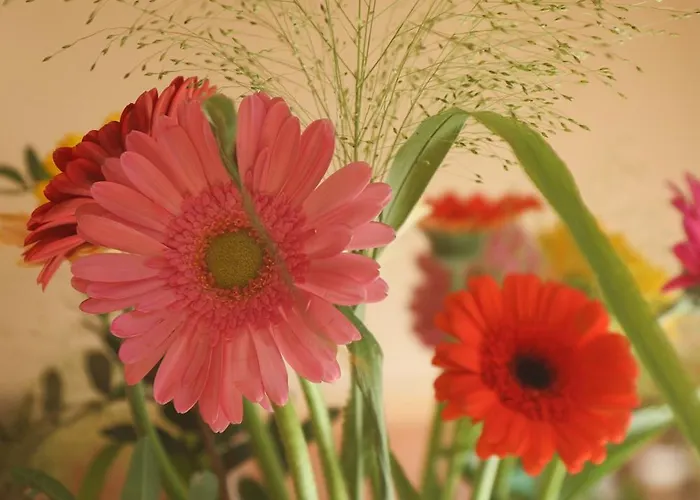 Villa Juneberry Bergen