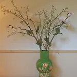 Вилла Juneberry